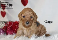 processed/78d2a380-033b-4bc9-8719-212b92773731/listing/7ce8a845-739d-4b92-bd62-5d2b8b6c5da3/a8ee042e-b60e-4059-9474-1de69c43f731