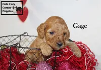 processed/78d2a380-033b-4bc9-8719-212b92773731/listing/7ce8a845-739d-4b92-bd62-5d2b8b6c5da3/bc0b4248-a2b6-4dd0-8531-0e99c27bef5d