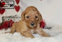 processed/78d2a380-033b-4bc9-8719-212b92773731/listing/7ce8a845-739d-4b92-bd62-5d2b8b6c5da3/c0469a1c-2562-4e40-b434-a559ea59b283