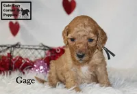 processed/78d2a380-033b-4bc9-8719-212b92773731/listing/7ce8a845-739d-4b92-bd62-5d2b8b6c5da3/ccfccc4f-a155-46d5-90d6-db75d513c8ca