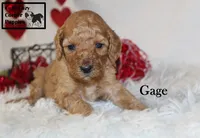 processed/78d2a380-033b-4bc9-8719-212b92773731/listing/7ce8a845-739d-4b92-bd62-5d2b8b6c5da3/fd934829-eb4a-49bd-91a4-ad34658063f7