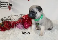 processed/78d2a380-033b-4bc9-8719-212b92773731/listing/c8f1b594-c634-4f2f-be0a-a54c03332025/07f7f8d3-db07-49f4-9fd4-9eda929e4d91