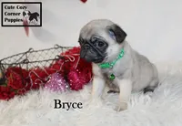 processed/78d2a380-033b-4bc9-8719-212b92773731/listing/c8f1b594-c634-4f2f-be0a-a54c03332025/269932eb-bc45-4928-8938-e68fd746f962