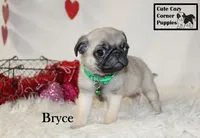 processed/78d2a380-033b-4bc9-8719-212b92773731/listing/c8f1b594-c634-4f2f-be0a-a54c03332025/a680e7b4-491b-4130-a78e-e049262f7514