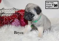 processed/78d2a380-033b-4bc9-8719-212b92773731/listing/c8f1b594-c634-4f2f-be0a-a54c03332025/c7ec19ef-17e5-466f-a949-d30cbc7cc3b2