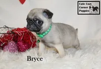 processed/78d2a380-033b-4bc9-8719-212b92773731/listing/c8f1b594-c634-4f2f-be0a-a54c03332025/e7a570d7-705d-4560-9236-39603de8ca79