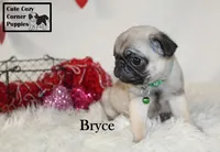 processed/78d2a380-033b-4bc9-8719-212b92773731/listing/c8f1b594-c634-4f2f-be0a-a54c03332025/ecb90a82-4ff4-4e5b-b829-b35d39ef4915