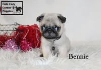 processed/78d2a380-033b-4bc9-8719-212b92773731/listing/ecdb9cc6-9a7b-4d65-947e-811ea95943ae/3272e5c6-9ca2-4444-a773-ac6554f367fc