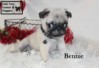 processed/78d2a380-033b-4bc9-8719-212b92773731/listing/ecdb9cc6-9a7b-4d65-947e-811ea95943ae/3af29bfd-50ce-430e-9fdc-08da835d53da