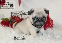 processed/78d2a380-033b-4bc9-8719-212b92773731/listing/ecdb9cc6-9a7b-4d65-947e-811ea95943ae/4d6d99a8-d98e-469c-a3b3-79f22ad0cbdc