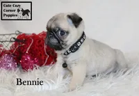 processed/78d2a380-033b-4bc9-8719-212b92773731/listing/ecdb9cc6-9a7b-4d65-947e-811ea95943ae/5e6e013f-e0a0-4b64-bf25-8b5bdb618383