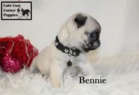 processed/78d2a380-033b-4bc9-8719-212b92773731/listing/ecdb9cc6-9a7b-4d65-947e-811ea95943ae/94c7991a-6796-49db-812c-f6c6ae4b197e