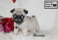 processed/78d2a380-033b-4bc9-8719-212b92773731/listing/ecdb9cc6-9a7b-4d65-947e-811ea95943ae/b6fd4f59-e66f-4c96-a67a-8a66a5db2d68