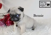 processed/78d2a380-033b-4bc9-8719-212b92773731/listing/ecdb9cc6-9a7b-4d65-947e-811ea95943ae/c4edee73-5ae6-4381-abf6-7f16c1a60b47