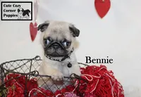 processed/78d2a380-033b-4bc9-8719-212b92773731/listing/ecdb9cc6-9a7b-4d65-947e-811ea95943ae/d5e0f4db-a71f-4347-bde4-8e8621563a47