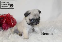 processed/78d2a380-033b-4bc9-8719-212b92773731/listing/ecdb9cc6-9a7b-4d65-947e-811ea95943ae/de28d1d5-1e28-4508-b0d9-2523c6670926