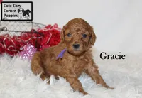 processed/78d2a380-033b-4bc9-8719-212b92773731/listing/ee8b7dbc-4f73-48c6-9c25-dcd0b981d5df/03721c8c-f564-49e4-9e91-a9e944531937