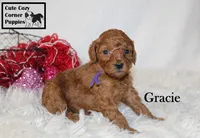 processed/78d2a380-033b-4bc9-8719-212b92773731/listing/ee8b7dbc-4f73-48c6-9c25-dcd0b981d5df/258d8937-4aa1-4dbd-8ab6-8cda13bbbf76