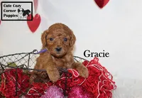 processed/78d2a380-033b-4bc9-8719-212b92773731/listing/ee8b7dbc-4f73-48c6-9c25-dcd0b981d5df/303f6b92-6204-44e6-8611-b99f05f32dfa