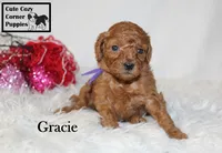 processed/78d2a380-033b-4bc9-8719-212b92773731/listing/ee8b7dbc-4f73-48c6-9c25-dcd0b981d5df/346cd328-30cd-4942-a070-0f08458eb73b