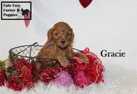 processed/78d2a380-033b-4bc9-8719-212b92773731/listing/ee8b7dbc-4f73-48c6-9c25-dcd0b981d5df/4c7b6ea3-acd9-404c-b647-aee51e1eb006