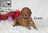 processed/78d2a380-033b-4bc9-8719-212b92773731/listing/ee8b7dbc-4f73-48c6-9c25-dcd0b981d5df/6d3f0ac4-9abd-449d-8710-9da5542af181