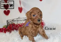 processed/78d2a380-033b-4bc9-8719-212b92773731/listing/ee8b7dbc-4f73-48c6-9c25-dcd0b981d5df/92979c2d-e469-4810-b8f2-eb7291316468