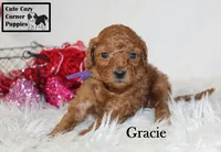 processed/78d2a380-033b-4bc9-8719-212b92773731/listing/ee8b7dbc-4f73-48c6-9c25-dcd0b981d5df/cee712e6-621e-4bee-ad50-e8bbc17373af