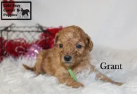 processed/78d2a380-033b-4bc9-8719-212b92773731/listing/fa566cc8-2ebb-4682-b43f-ab43863ba938/70d9eae1-d7d3-4791-8d89-406afc235f6b