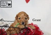 processed/78d2a380-033b-4bc9-8719-212b92773731/listing/fa566cc8-2ebb-4682-b43f-ab43863ba938/b12598d5-e793-477d-939a-1f02366fb026