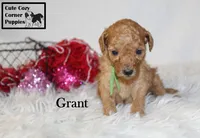 processed/78d2a380-033b-4bc9-8719-212b92773731/listing/fa566cc8-2ebb-4682-b43f-ab43863ba938/c60c44a9-ae4e-49f2-9dce-8cc1ef48d30b