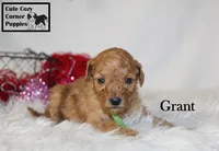 processed/78d2a380-033b-4bc9-8719-212b92773731/listing/fa566cc8-2ebb-4682-b43f-ab43863ba938/cb0b17b7-55bd-42ef-8b2a-1c39e3998af1