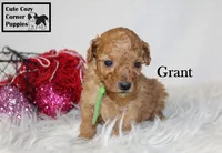 processed/78d2a380-033b-4bc9-8719-212b92773731/listing/fa566cc8-2ebb-4682-b43f-ab43863ba938/ed4da879-5ae7-43bb-a618-04c91285acb7