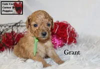 processed/78d2a380-033b-4bc9-8719-212b92773731/listing/fa566cc8-2ebb-4682-b43f-ab43863ba938/f48b8c5a-2ae0-4013-b7e2-334ee0aac21e