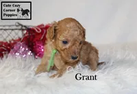 processed/78d2a380-033b-4bc9-8719-212b92773731/listing/fa566cc8-2ebb-4682-b43f-ab43863ba938/fecfdd57-9029-4d53-9205-65b1d99899da