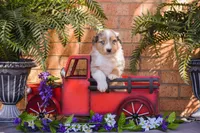 processed/78e2d6b9-4c2d-44f8-892f-ba855d4f70b4/listing/159fa702-2a69-4329-b5cf-ec64131297e8/1a258e3f-be4e-414f-a66a-13ce650d6255