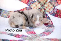 processed/78e2d6b9-4c2d-44f8-892f-ba855d4f70b4/listing/159fa702-2a69-4329-b5cf-ec64131297e8/29227e0b-6674-4f3d-83ba-8ab4a4243d54