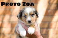 processed/78e2d6b9-4c2d-44f8-892f-ba855d4f70b4/listing/159fa702-2a69-4329-b5cf-ec64131297e8/d3e1a137-a532-4e73-97d4-6eb5ad2b4614