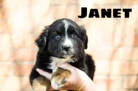 processed/78e2d6b9-4c2d-44f8-892f-ba855d4f70b4/listing/36aa619c-767f-4d4f-b529-24ab9f09f821/47a39612-b0d7-4be9-aacd-eb72e1ef1c16