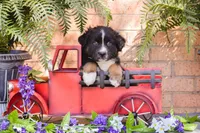 processed/78e2d6b9-4c2d-44f8-892f-ba855d4f70b4/listing/36aa619c-767f-4d4f-b529-24ab9f09f821/842aa8b3-437e-47e9-b98e-bb7517b3cdbd