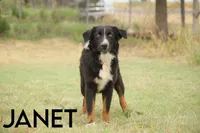 processed/78e2d6b9-4c2d-44f8-892f-ba855d4f70b4/listing/36aa619c-767f-4d4f-b529-24ab9f09f821/9c87d31b-7ee5-45e6-a8d7-ec77b6b52e27