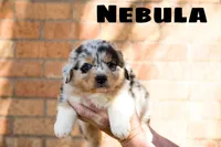 processed/78e2d6b9-4c2d-44f8-892f-ba855d4f70b4/listing/4fc8167b-5bb0-4715-859f-ec216c66edf6/09ecfe4e-ed02-4436-a015-b050b21ae2a2