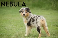 processed/78e2d6b9-4c2d-44f8-892f-ba855d4f70b4/listing/4fc8167b-5bb0-4715-859f-ec216c66edf6/30d284a5-55b7-4518-ac8a-b538fdf86725