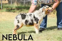 processed/78e2d6b9-4c2d-44f8-892f-ba855d4f70b4/listing/4fc8167b-5bb0-4715-859f-ec216c66edf6/a651f95a-f603-45fd-b139-a700e2d0baa9