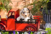 processed/78e2d6b9-4c2d-44f8-892f-ba855d4f70b4/listing/4fc8167b-5bb0-4715-859f-ec216c66edf6/bbf25bfc-5e42-4db0-b7d1-e9d82f0b1e73