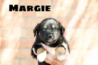 processed/78e2d6b9-4c2d-44f8-892f-ba855d4f70b4/listing/669677a2-5677-4701-b102-06a3c322885f/61be70d5-7429-461e-a443-c4f56c9bb295