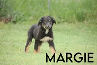 processed/78e2d6b9-4c2d-44f8-892f-ba855d4f70b4/listing/669677a2-5677-4701-b102-06a3c322885f/a97b1e87-ec83-4b6e-9885-d8a00fcd6e77