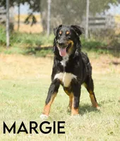 processed/78e2d6b9-4c2d-44f8-892f-ba855d4f70b4/listing/669677a2-5677-4701-b102-06a3c322885f/f1e4063e-b65b-43e0-bf98-35dfda25e6f8