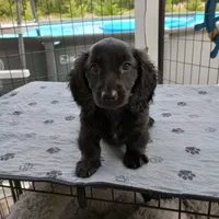 processed/78e596fb-92db-4699-96ba-6508406ed6c7/facility/07d6b07c-5b7d-4e1f-8eca-77f53dc08d93