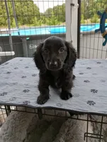 processed/78e596fb-92db-4699-96ba-6508406ed6c7/facility/07d6b07c-5b7d-4e1f-8eca-77f53dc08d93